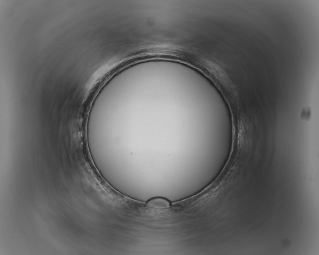 X0000111631164200907311220