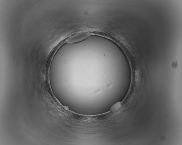 X0000111631165200907311220