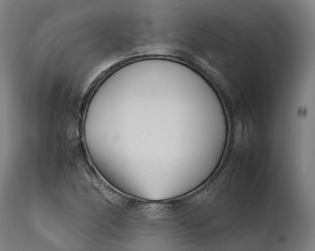 X0000111631166200907311220