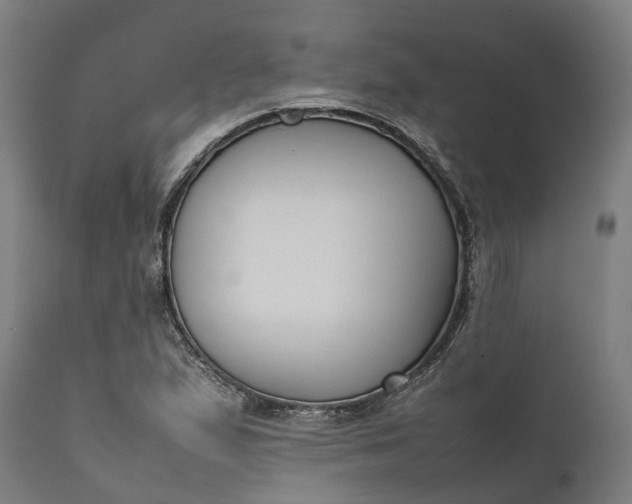 X0000111631167200907311220