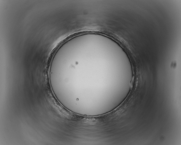 X0000111631168200907311220