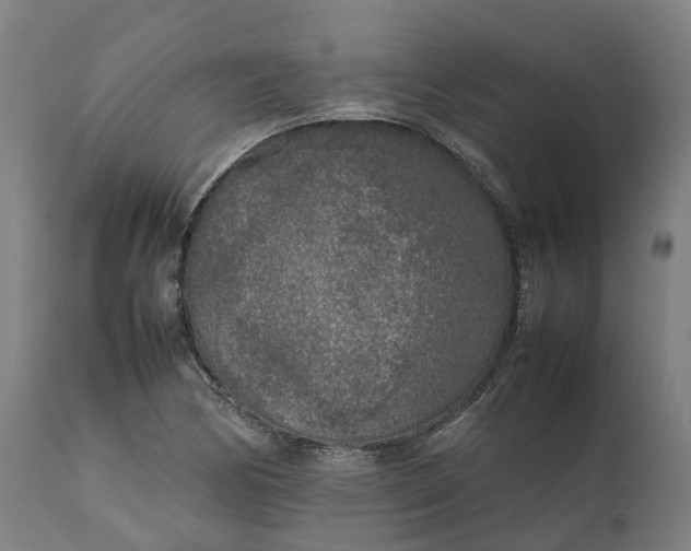 X0000111631170200907311220