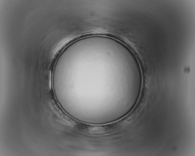 X0000111631171200907311220