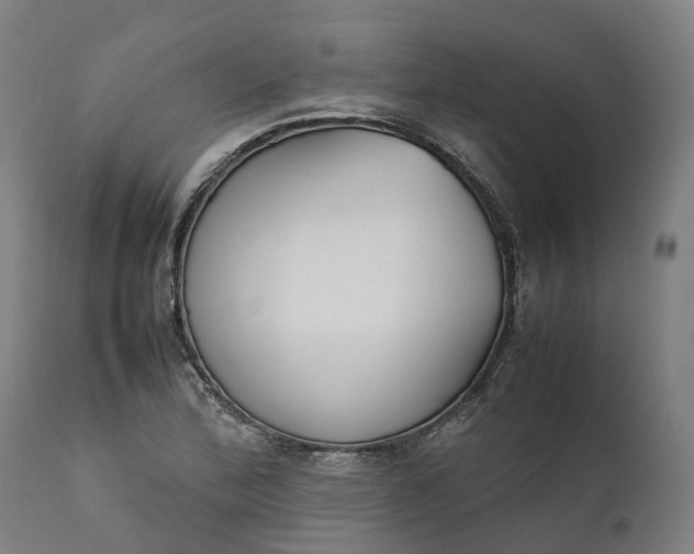 X0000111631172200907311220