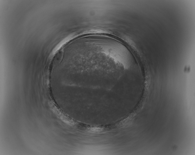 X0000111631173200907311220