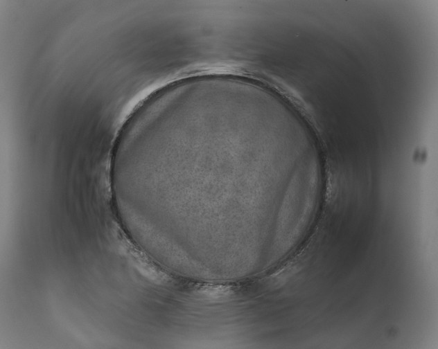 X0000111631174200907311219