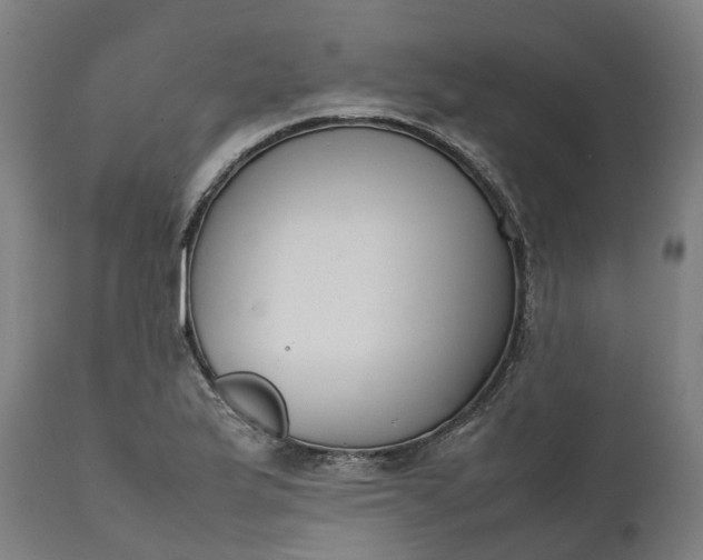 X0000111631175200907311219