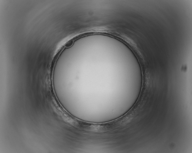 X0000111631176200907311219