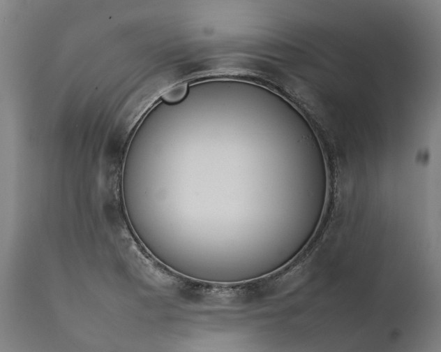 X0000111631177200907311219