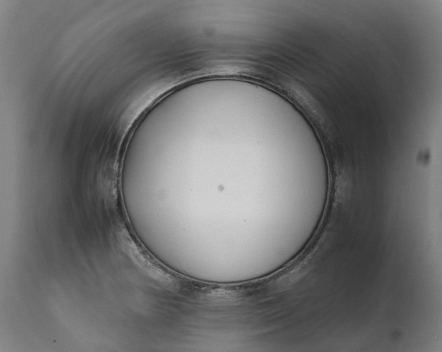 X0000111631178200907311219