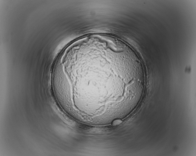 X0000111631179200907311219