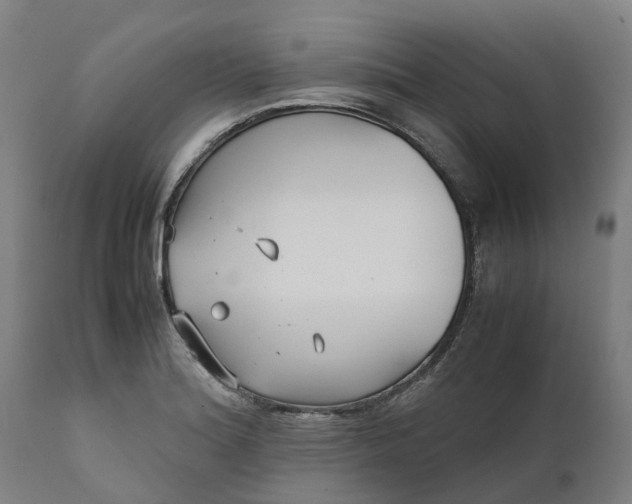 X0000111631180200907311219