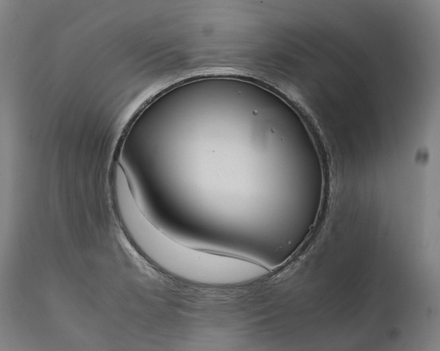 X0000111631181200907311219