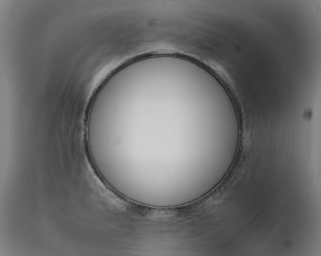 X0000111631183200907311219