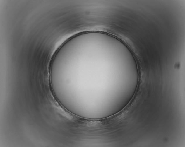 X0000111631184200907311219