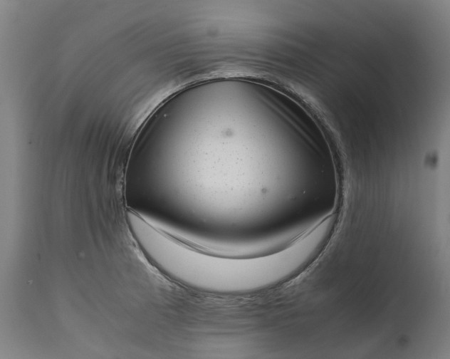 X0000111631185200907311219