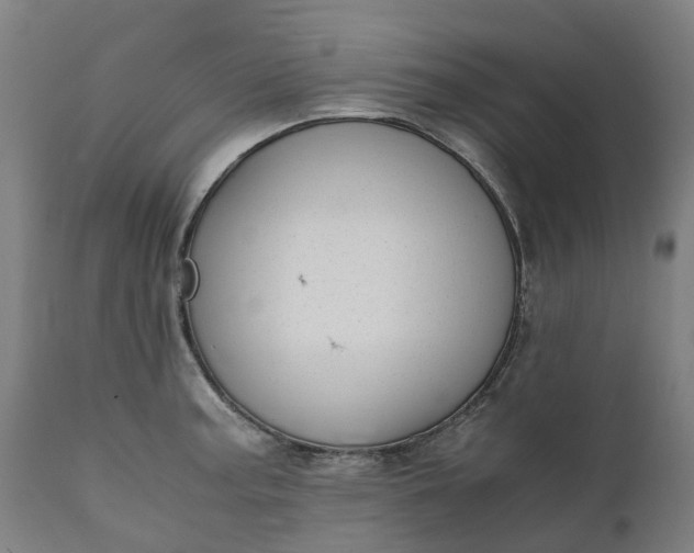 X0000111631187200907311219