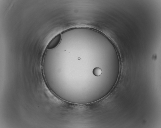 X0000111631189200907311219