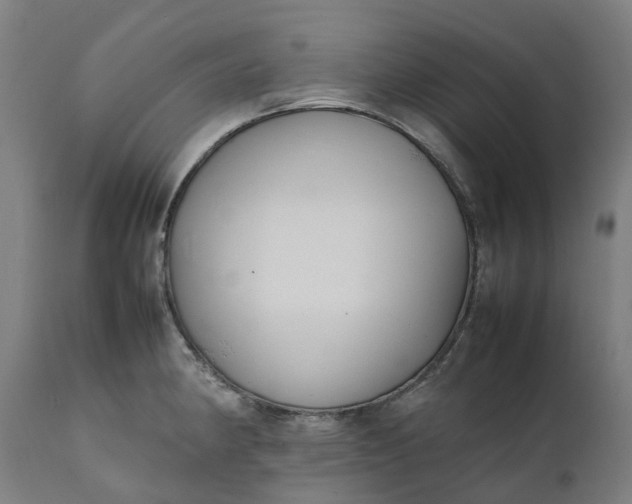 X0000111631190200907311219