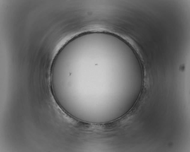 X0000111631191200907311219