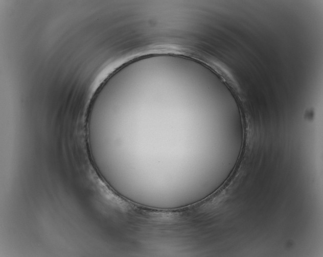 X0000111631192200907311219