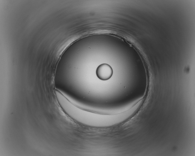 X0000111631193200907311219