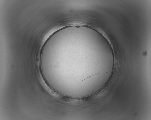 X0000111631195200907311219