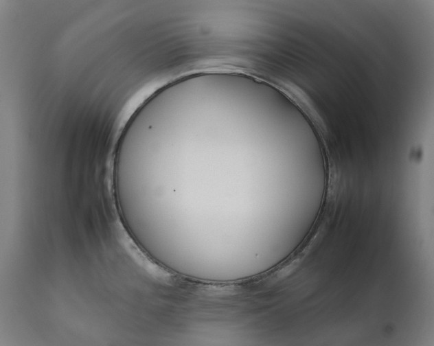 X0000111631196200907311219