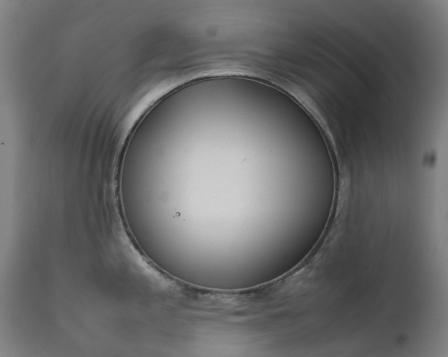 X0000111631197200907311219