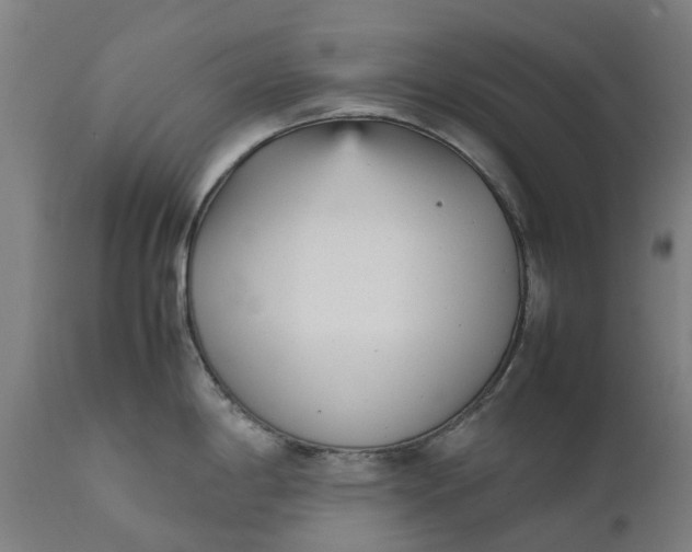 X0000111631198200907311219