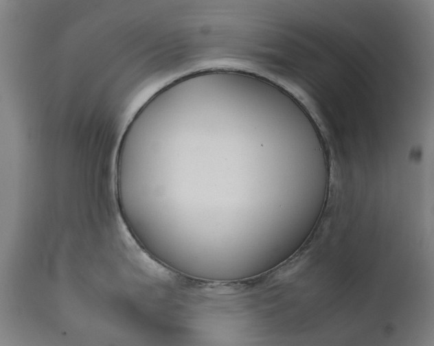 X0000111631199200907311219