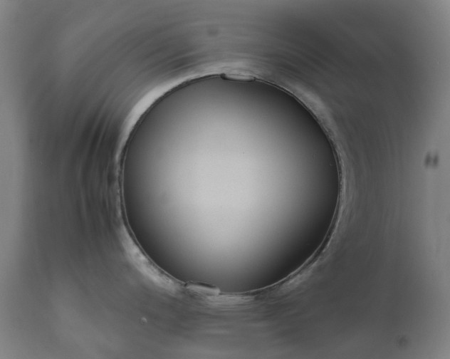 X0000111631200200907311219