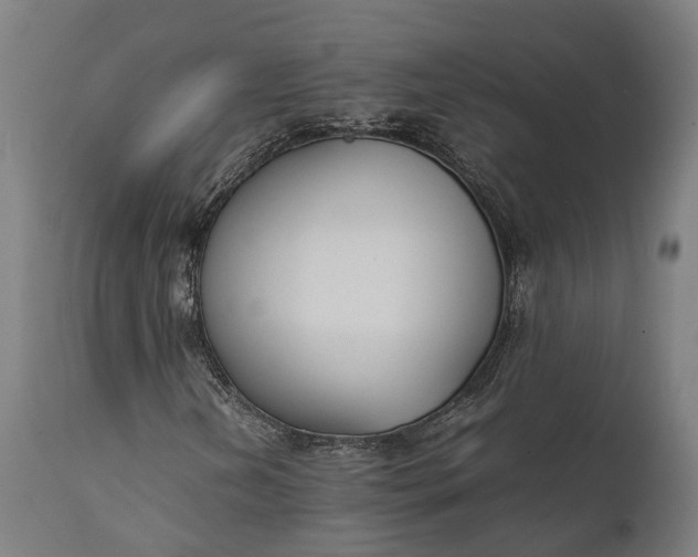 X0000111631202200907311218