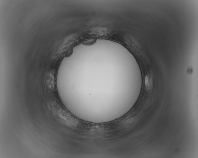 X0000111631203200907311219