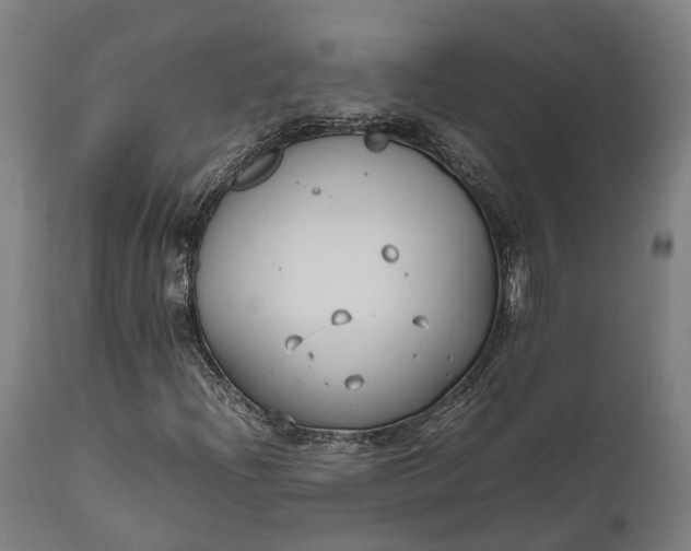 X0000111631204200907311219