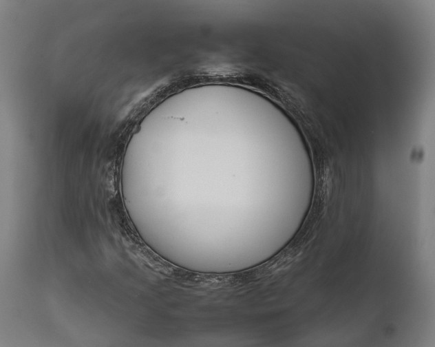 X0000111631205200907311219