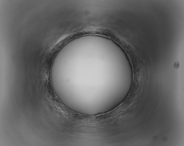 X0000111631206200907311219