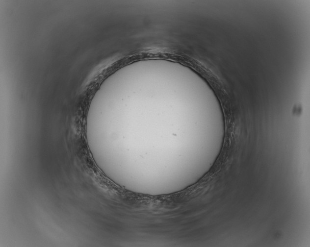 X0000111631207200907311219