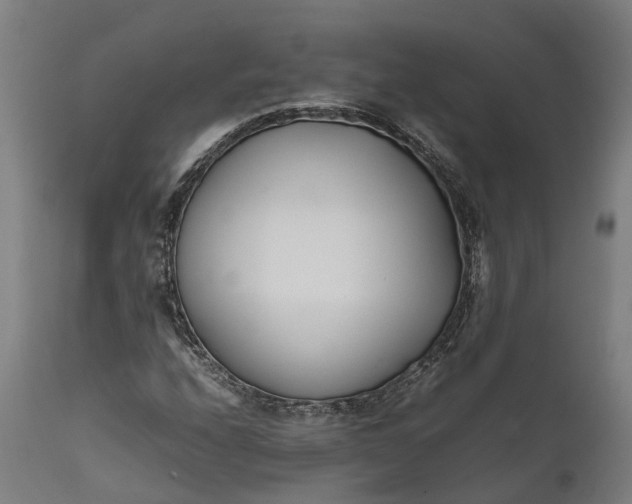 X0000111631208200907311219