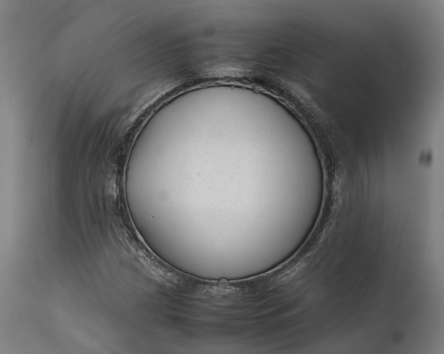 X0000111631209200907311219