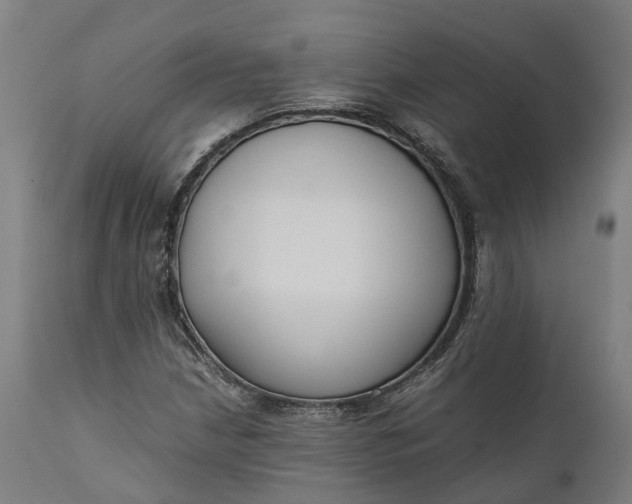 X0000111631210200907311219