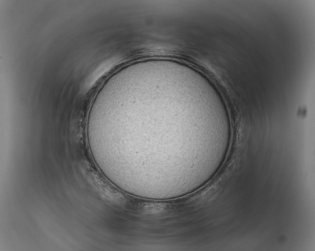 X0000111631211200907311219