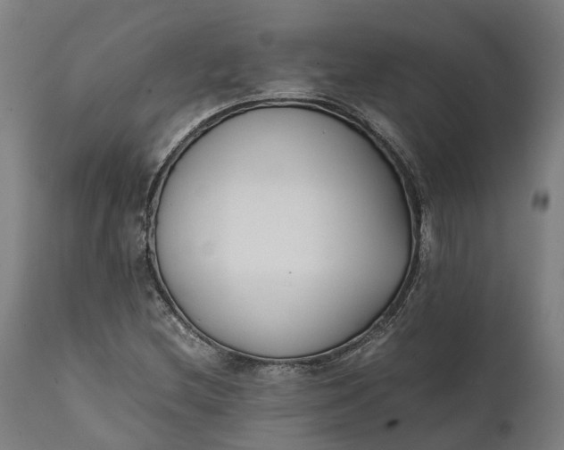 X0000111631212200907311219