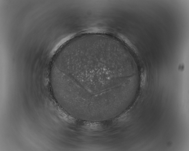 X0000111631213200907311219