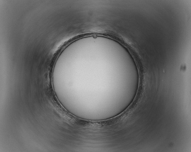 X0000111631214200907311219