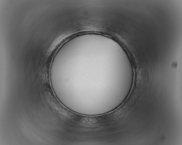 X0000111631215200907311219