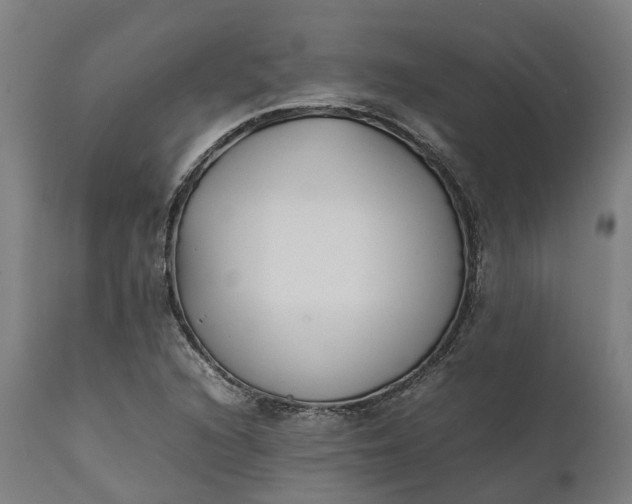 X0000111631216200907311219