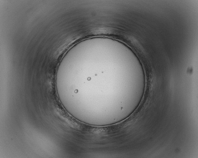 X0000111631217200907311219