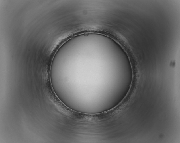 X0000111631218200907311219