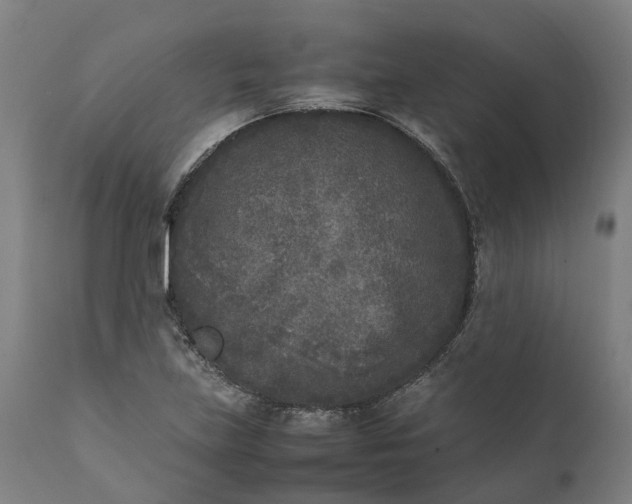 X0000111631219200907311219